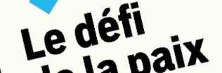 Anne-Cécile Robert's banner