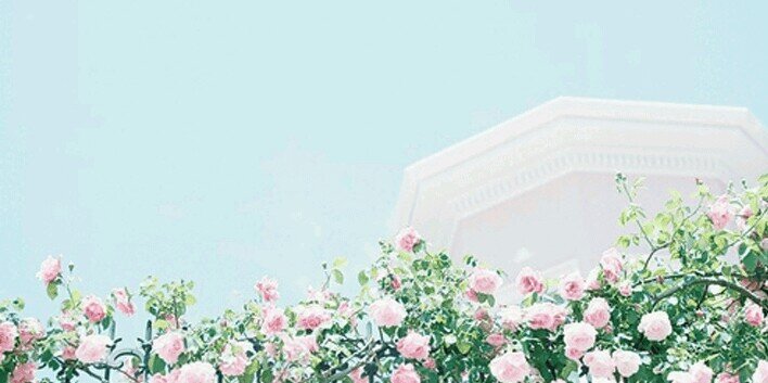 SY_EJ's profile banner image