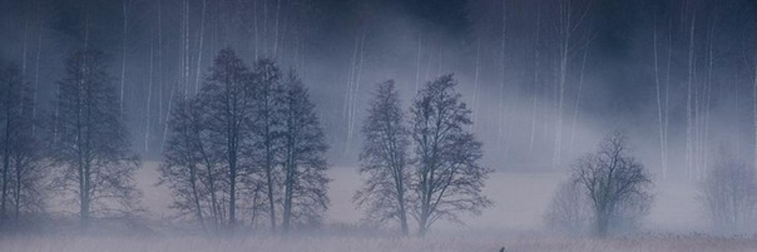 DashaDollar's profile banner image