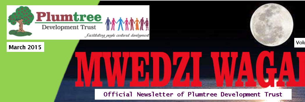 PlumDevtrust's profile banner image