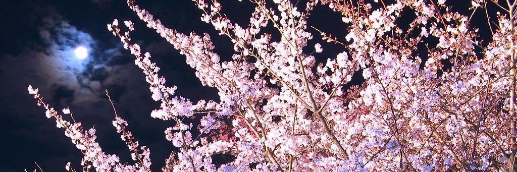 hiro0118gen's profile banner image