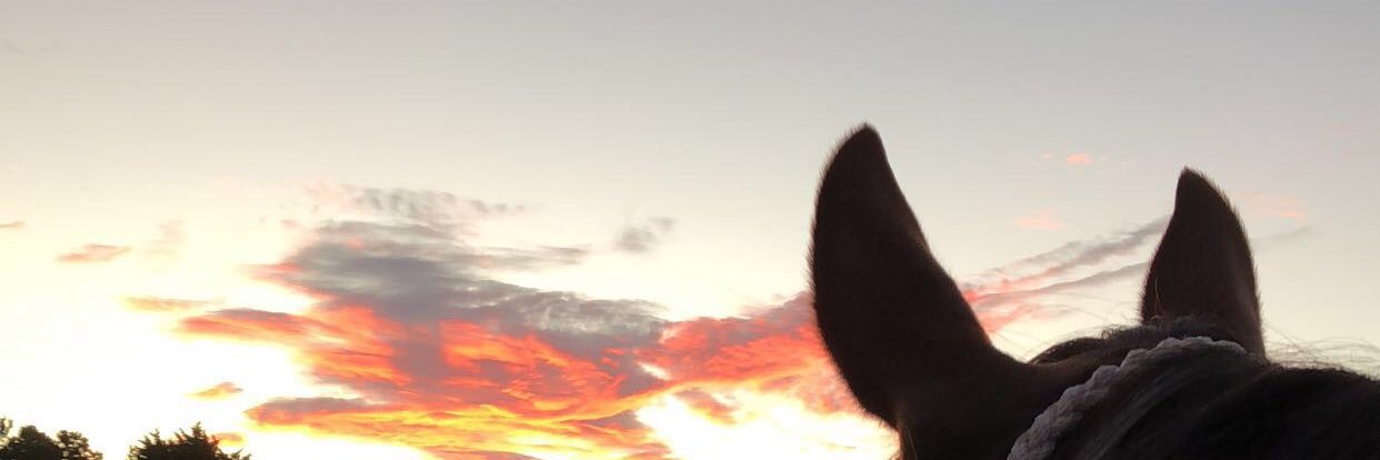 HensleyCady's profile banner image