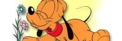 debbie_pentland's profile banner image