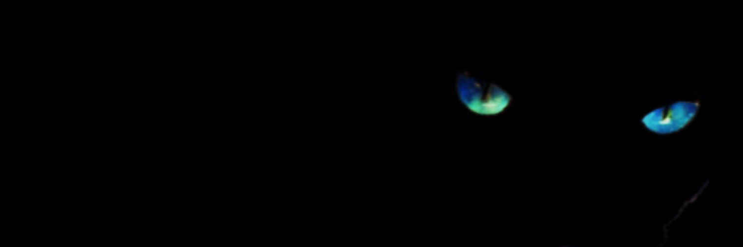 2toma8's profile banner image
