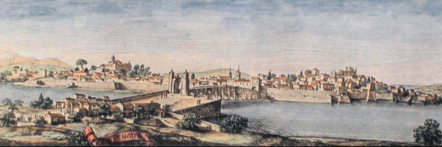 Tomás M. Abeigón Vidal banner