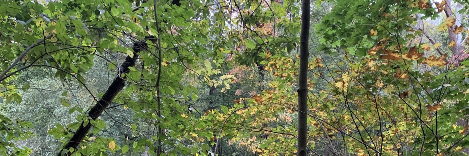 zeyner26's profile banner image
