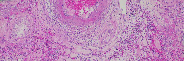 MSeidmanMD Profile Banner
