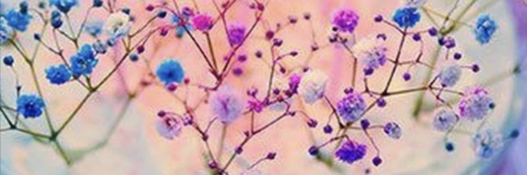 yaimasanchez2's profile banner image