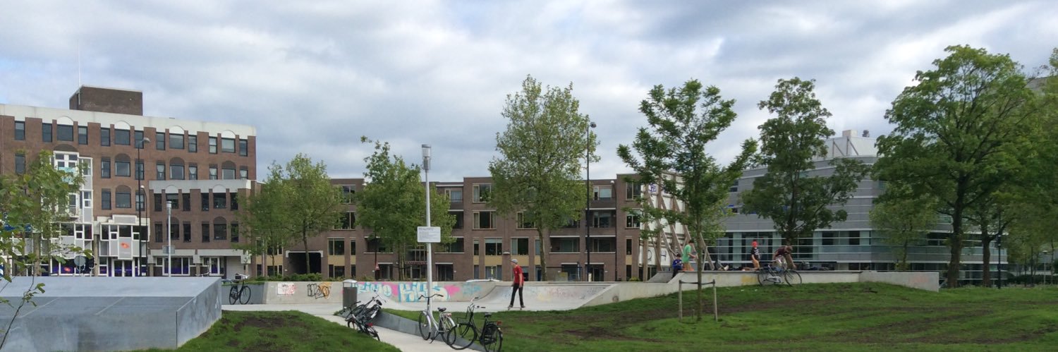 Mickel Langeveld banner