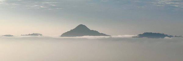 LotusEater_2 Profile Banner