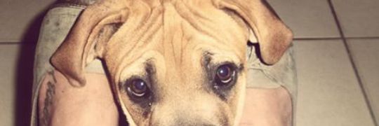 jbowes214's profile banner image