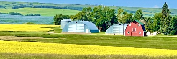 KimChipman1 Profile Banner