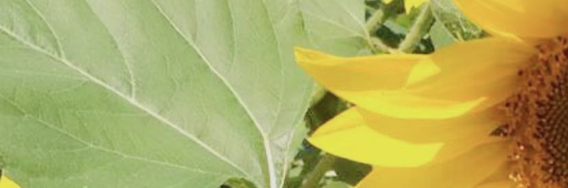 _Nine6's profile banner image