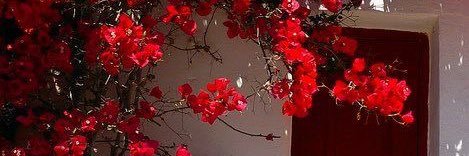 chewywonhee's profile banner image