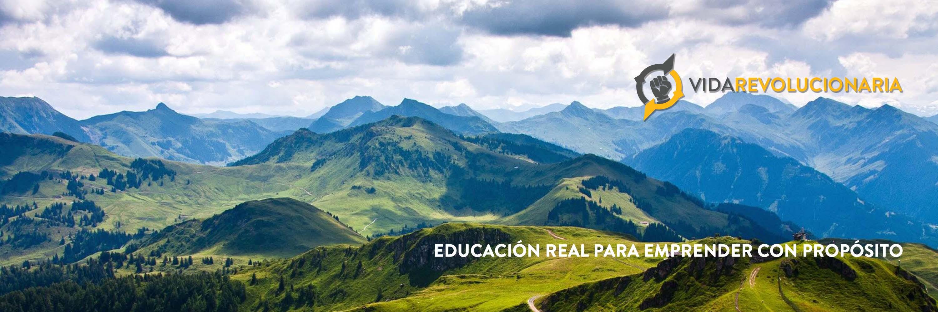 Vida Revolucionaria banner