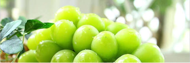 muscat_K's profile banner image