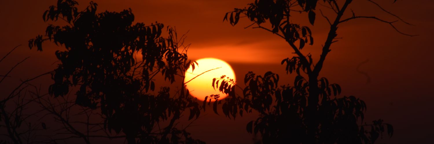 Katami Michelle banner