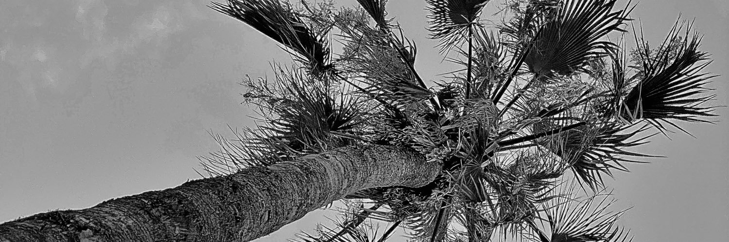 debruce_'s profile banner image