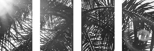 jaydencgrpg's profile banner image