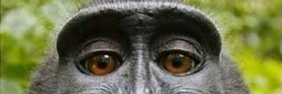 patblas_12's profile banner image