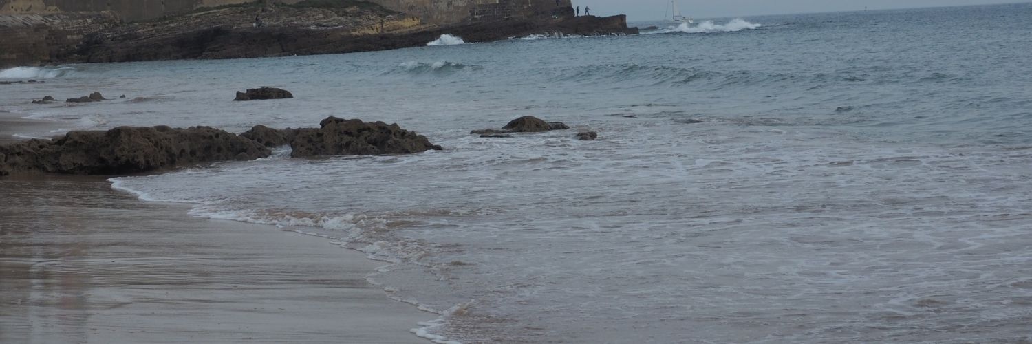 mariamira00's profile banner image