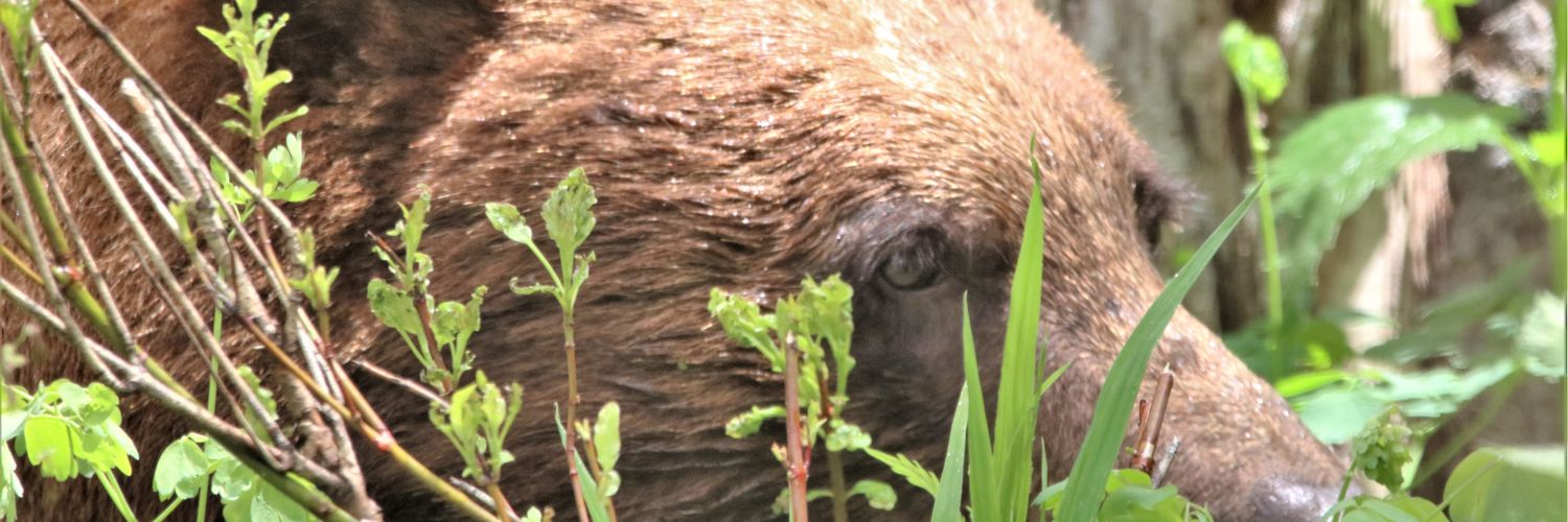 Jonathan Keller banner