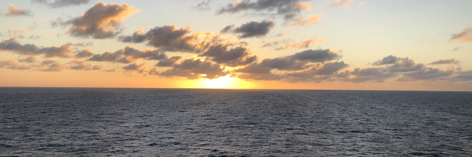 Mindi Schaefer banner