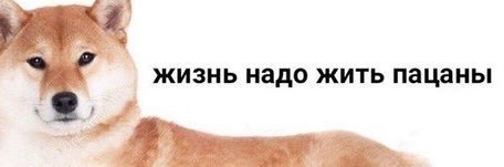 zelyonaaa's profile banner image