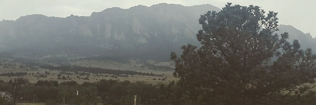 D banner