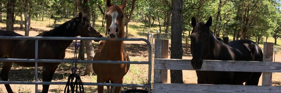 2tkidd's profile banner image
