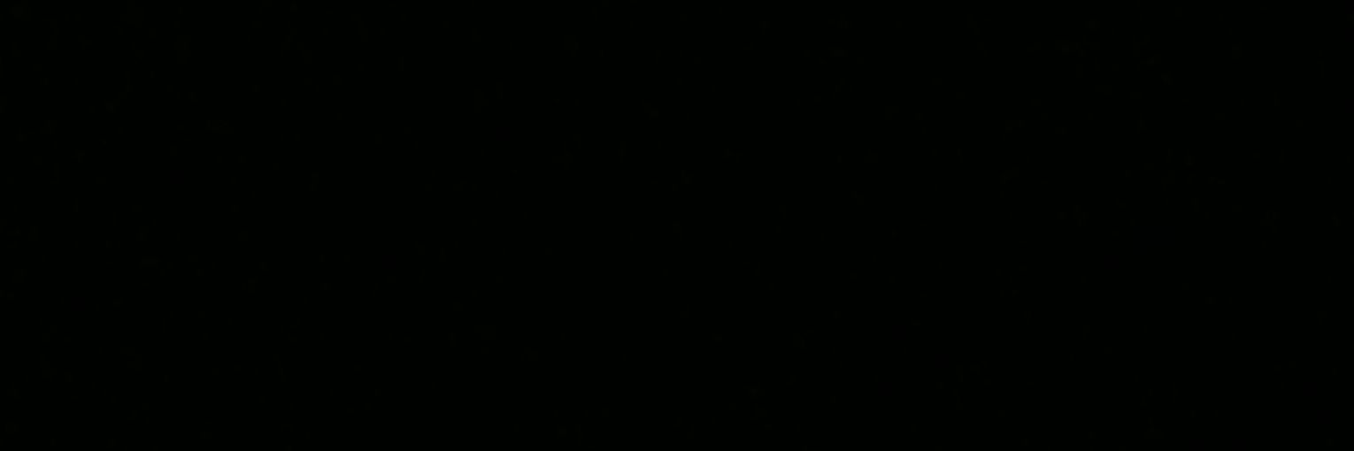 Lizz_WM's profile banner image
