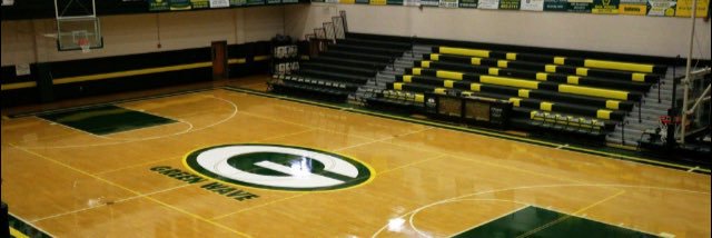 Lady Wave Basketball banner