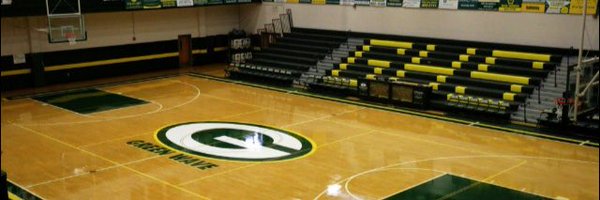 Lady_WaveBball Profile Banner