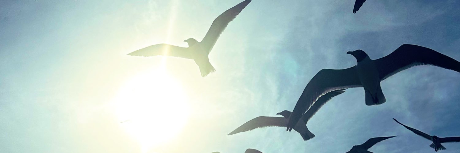 jesustarrega's profile banner image