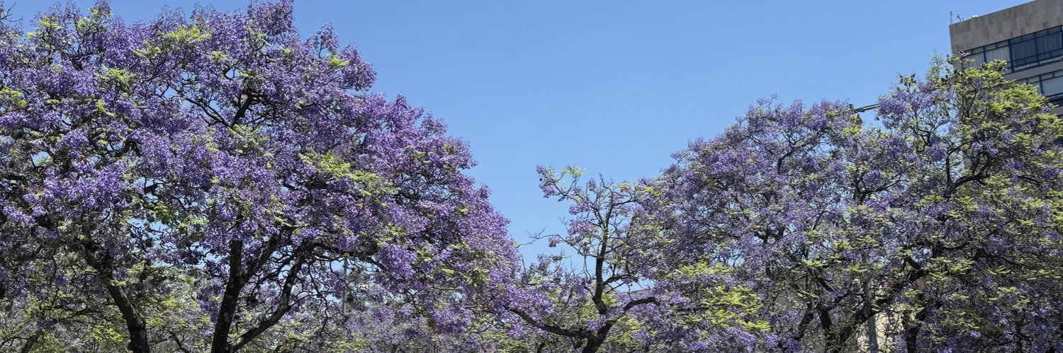Mario Pérez Ponce banner