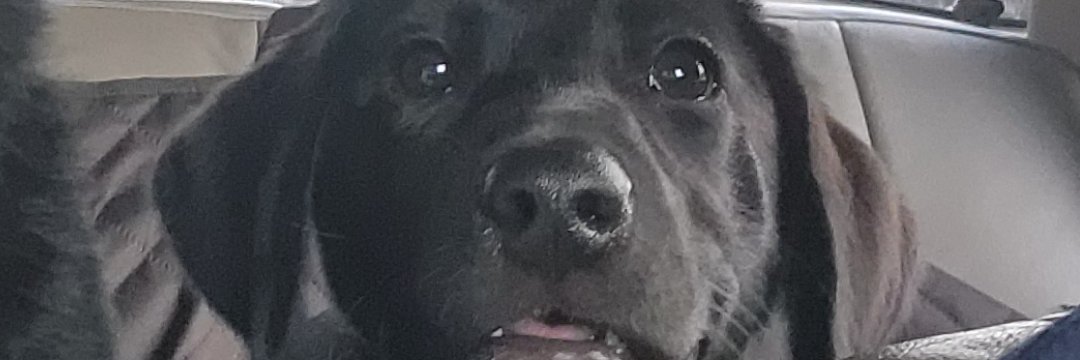 FountainTyler's profile banner image
