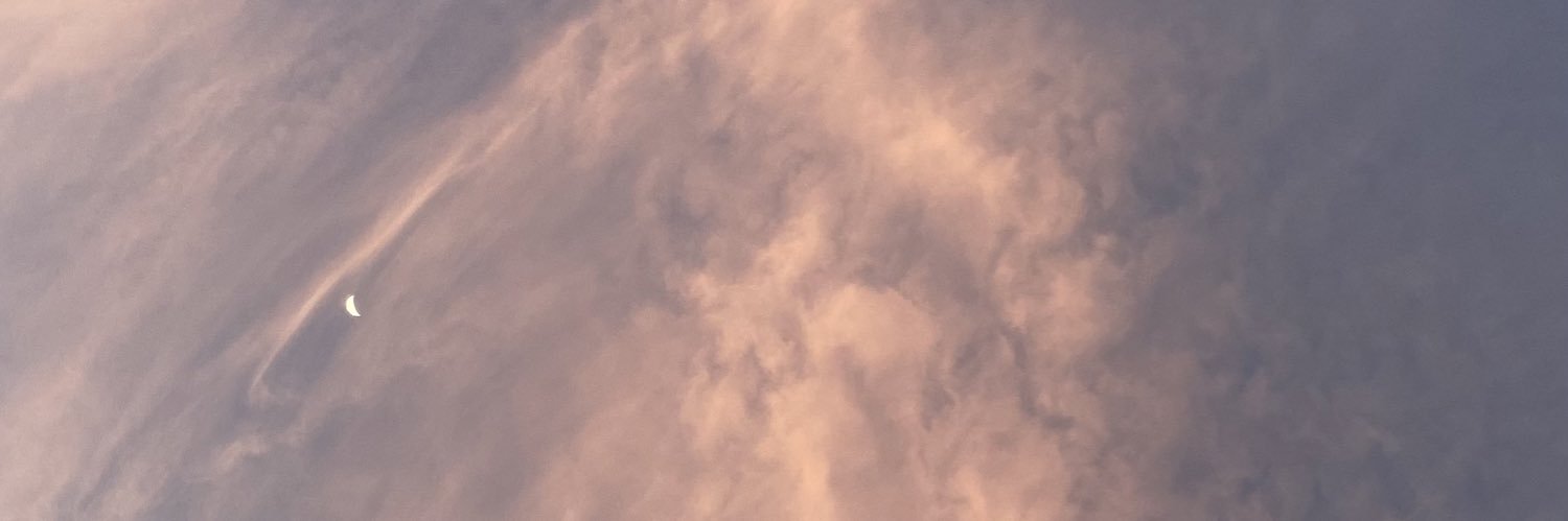 lelel0101's profile banner image