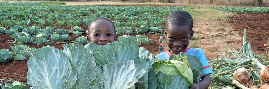 The Future of Hope banner