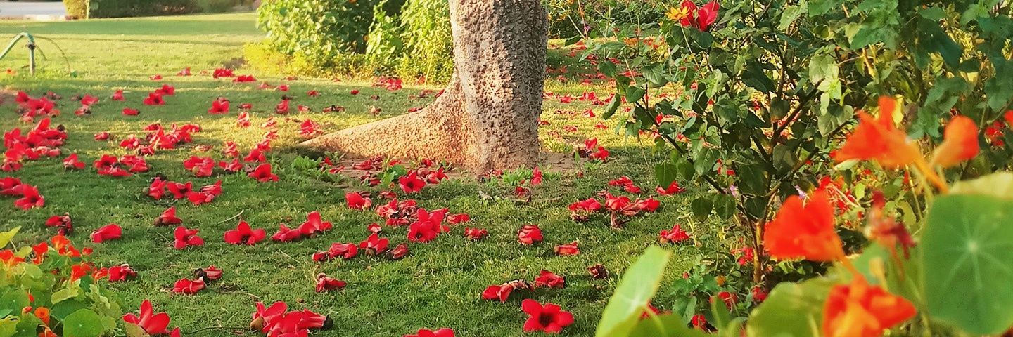 Jyotirmaya Mathan banner