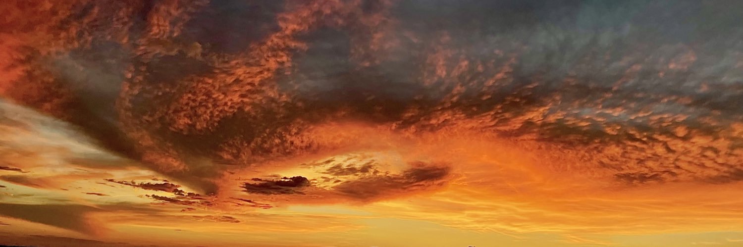 Lyannixx's profile banner image