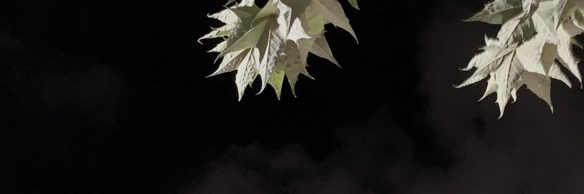 ArielOntiveros5's profile banner image