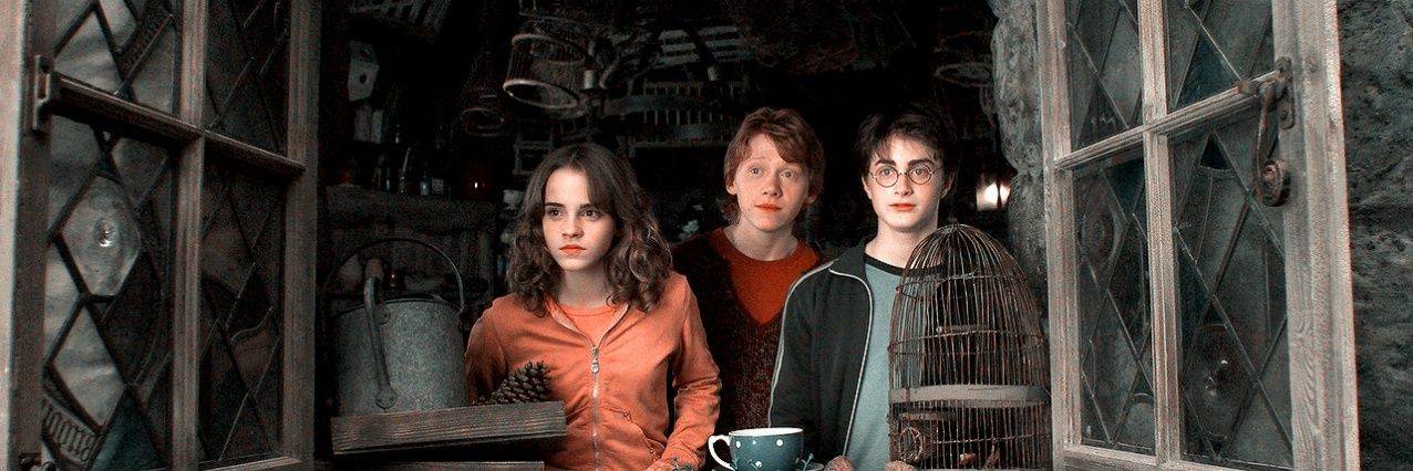lovatoalpha's profile banner image