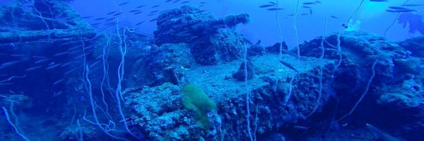 steveojolly Profile Banner