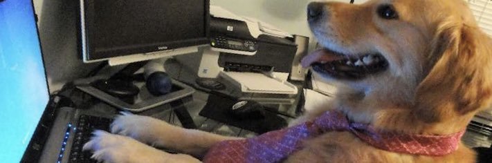 • 𝑯𝒂𝒏𝒊 banner