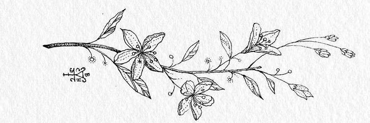 Janelynnette1's profile banner image