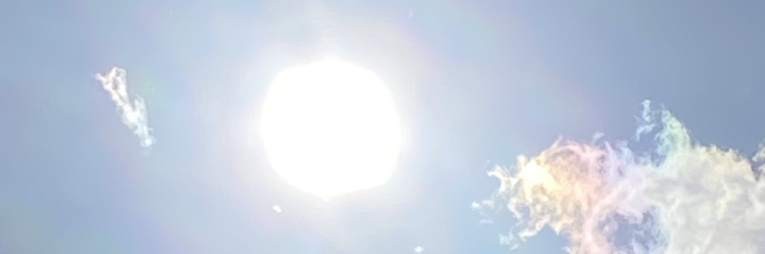 ninitachapa's profile banner image