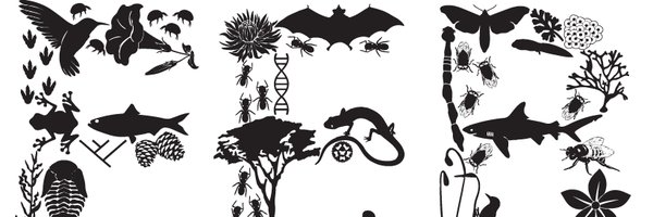 uconneeb Profile Banner