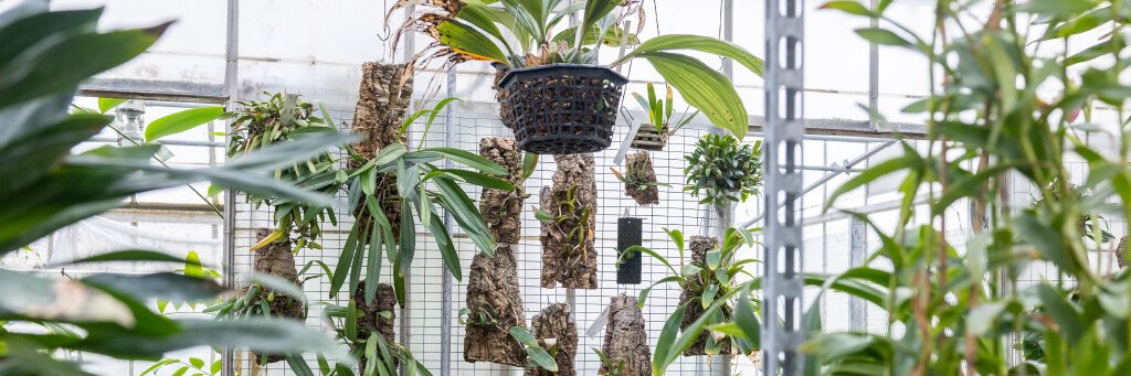 UConn EEB Department banner