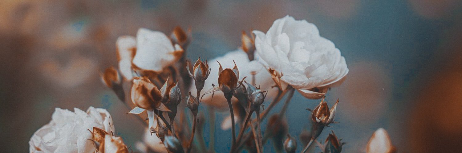 moonsyoungs's profile banner image