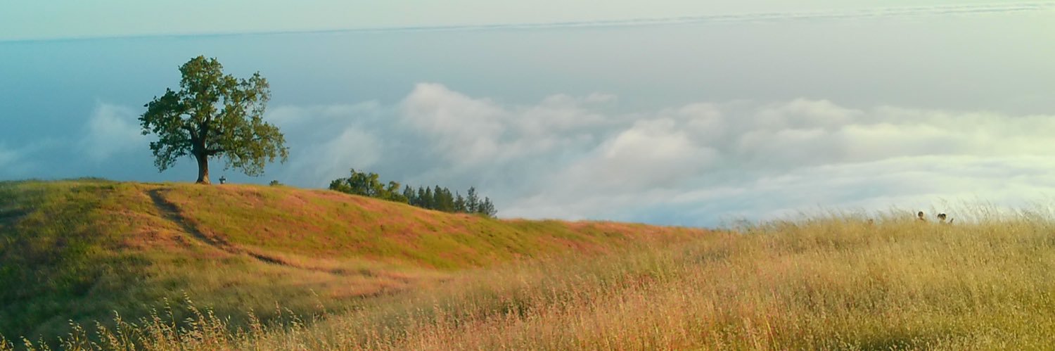 TylerAllenn3's profile banner image